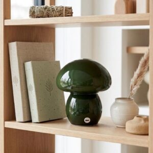 Lampara Fungi Inalámbrica C/ Luz Led