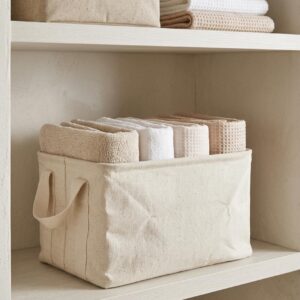 Organizador Placard 39X28X24cm Crudo
